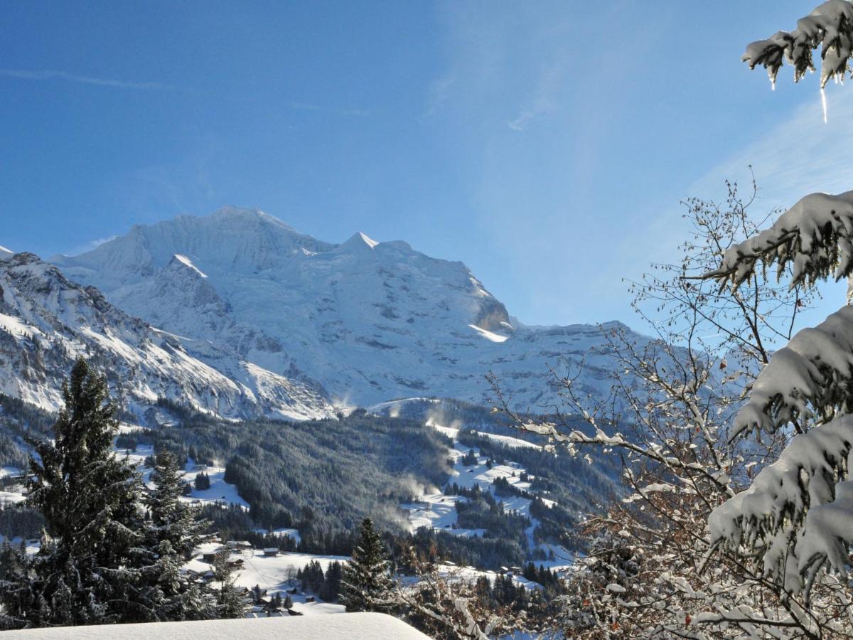 Studio Krokus By Interhome Wengen Exterior foto
